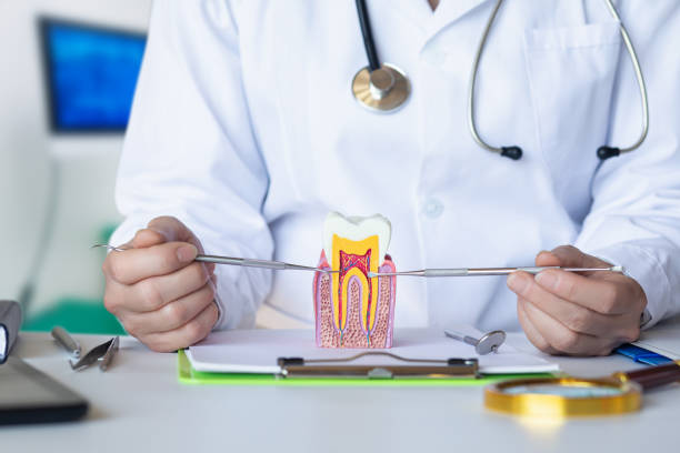 Best Emergency Root Canal Treatment in Hewitt, TX